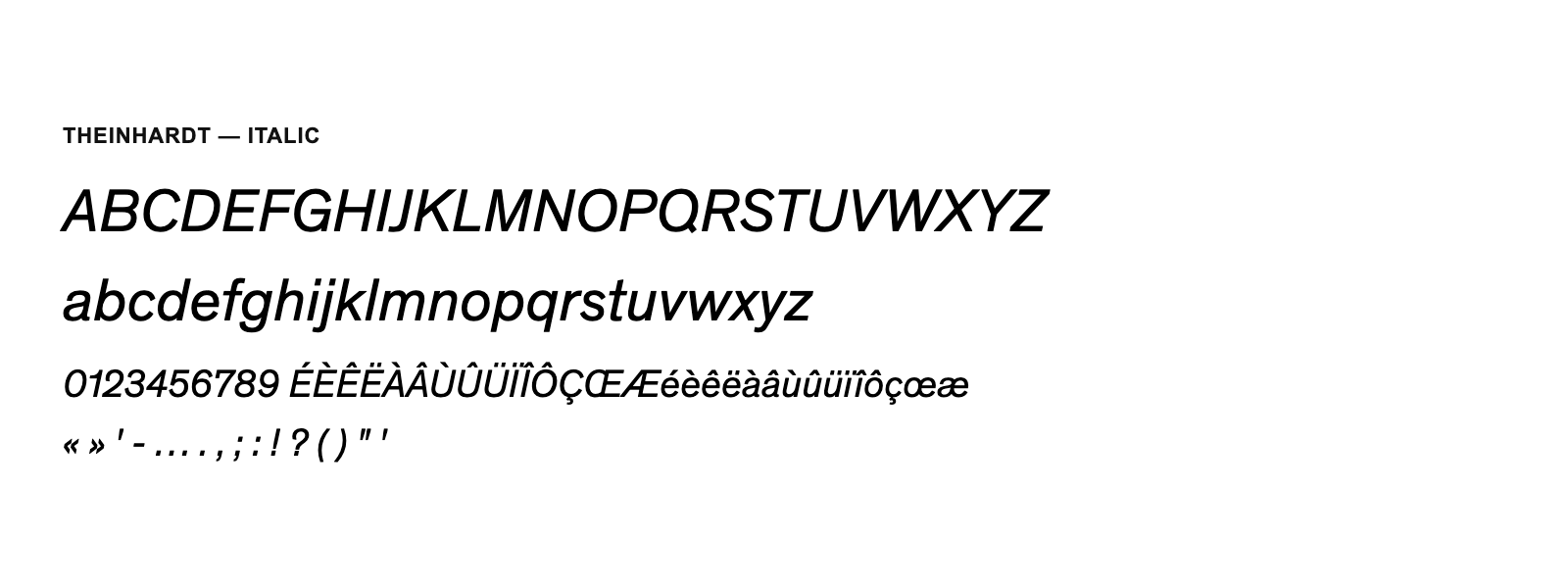 Spécimen de Theinhardt Italic