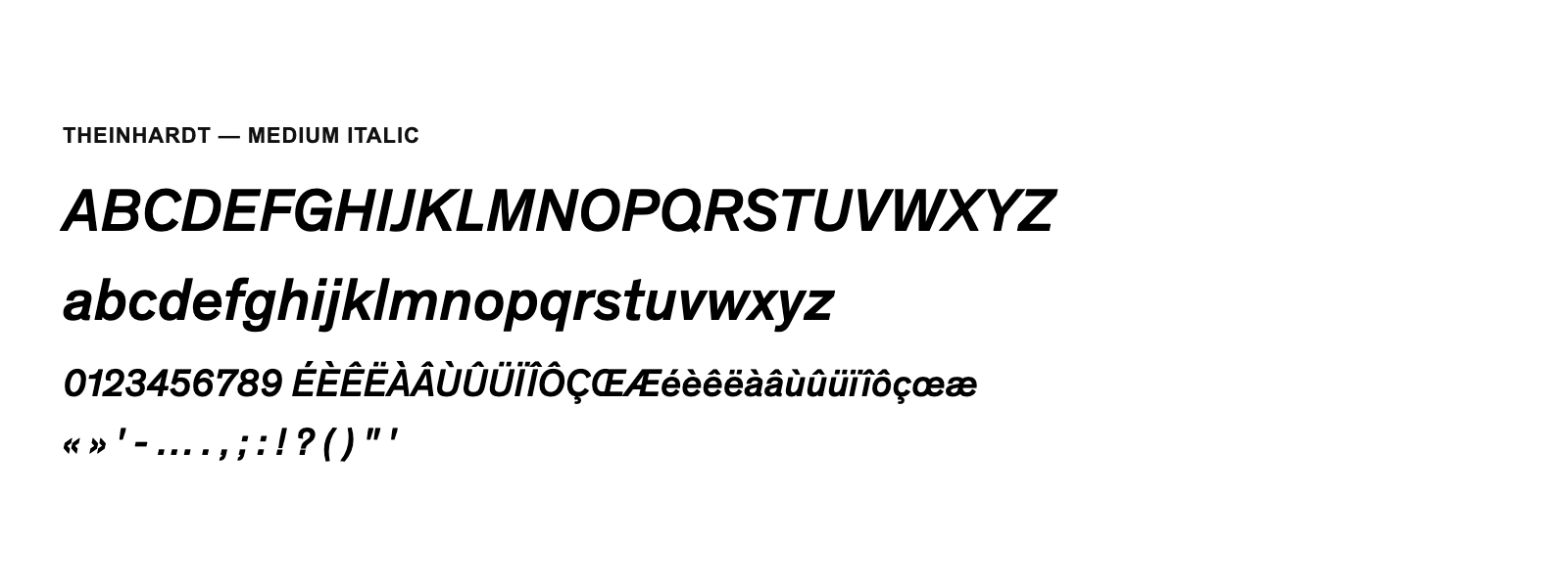 Spécimen de Theinhardt Medium Italic