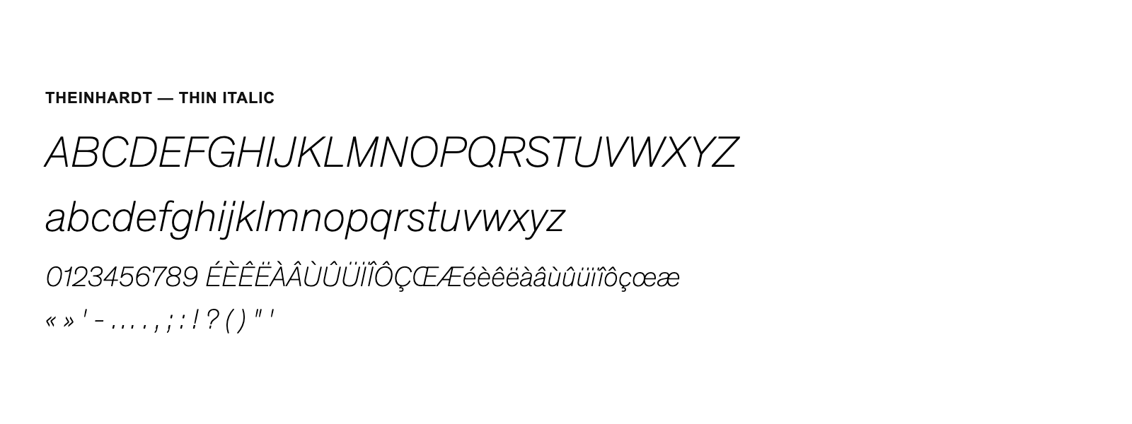 Spécimen de Theinhardt Thin Italic