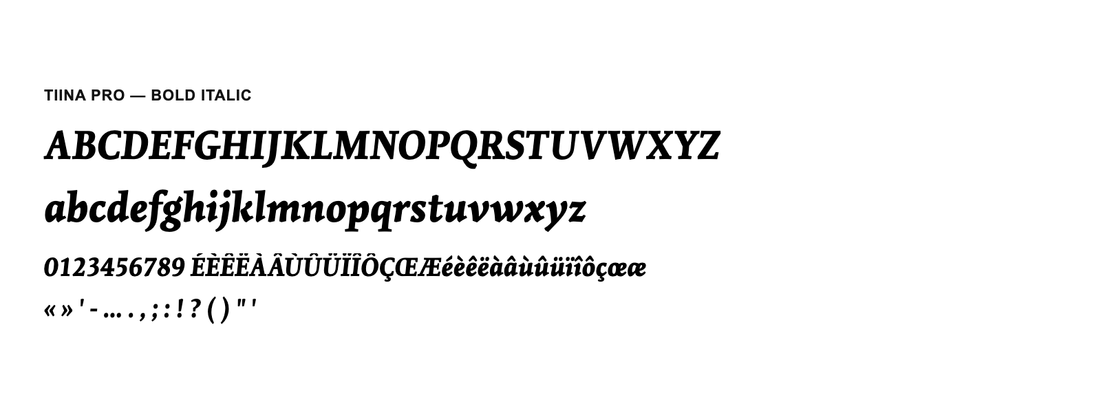 Spécimen de Tiina Pro Bold Italic
