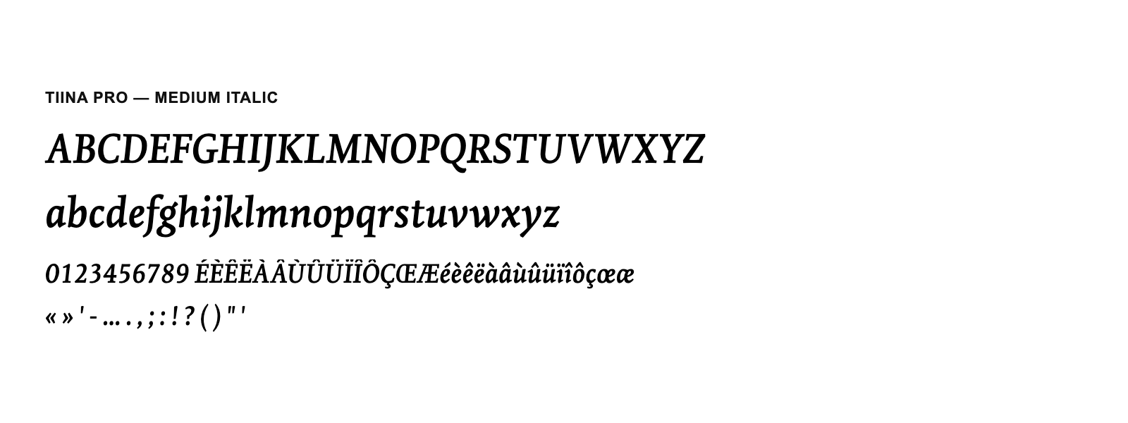 Spécimen de Tiina Pro Medium Italic