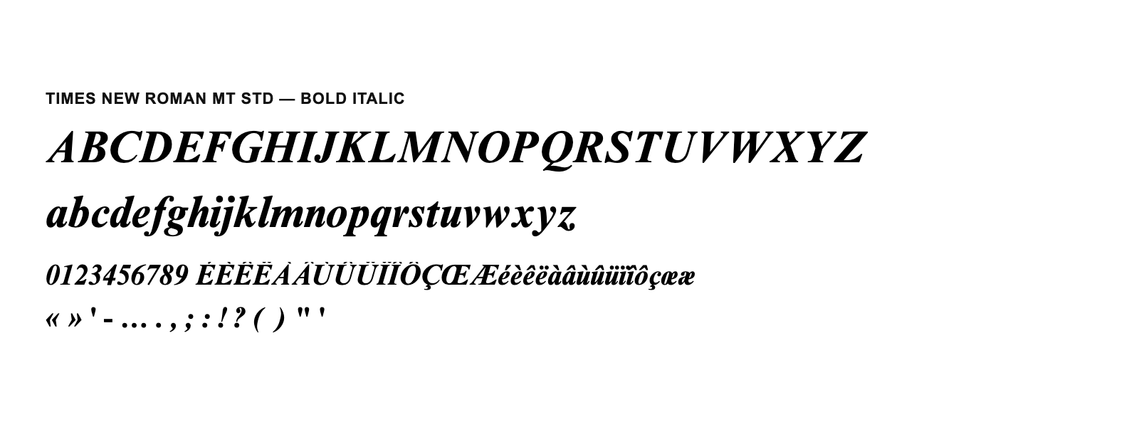 Spécimen de Times New Roman MT Std Bold Italic