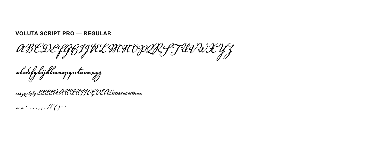 Spécimen de Voluta Script Pro Regular