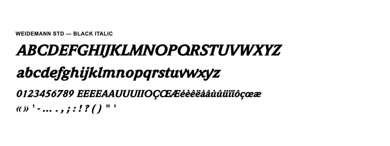 Spécimen de Weidemann Std Black Italic