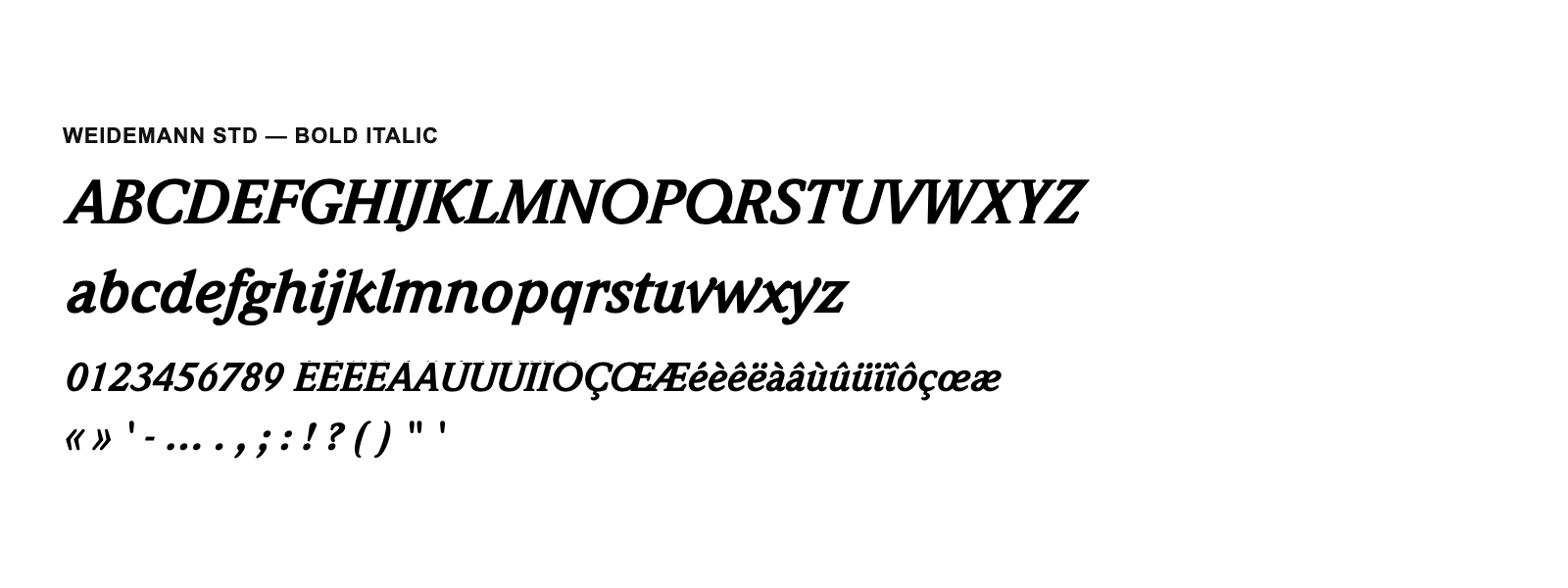 Spécimen de Weidemann Std Bold Italic