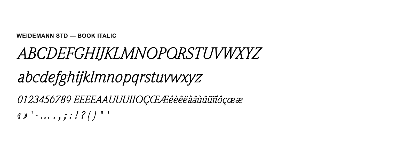 Spécimen de Weidemann Std Book Italic